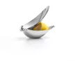 BLOMUS CALLISTA 63480 citrusprés