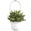 UMBRA TRIFLORA 1011748-524 Fehér-sárgaréz dísznövény és fűszertartó függő kaspó