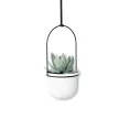 UMBRA TRIFLORA 5db-os 1018086-660 fehér dísznövény és fűszertartó függő kaspó