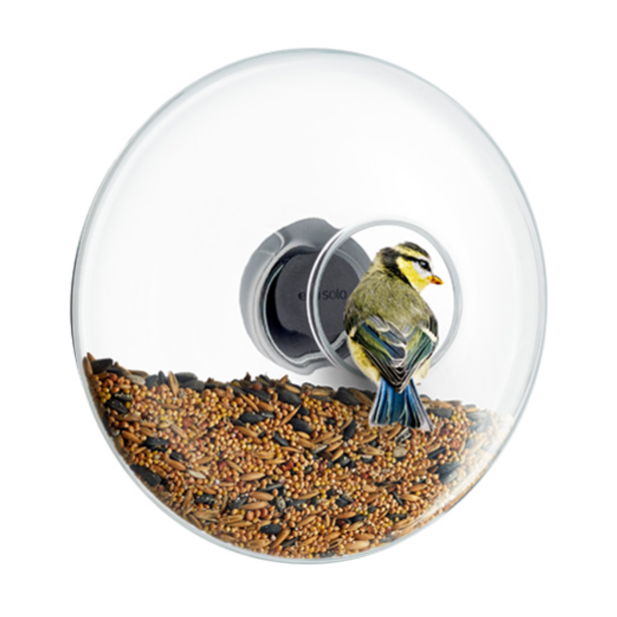 kerek, ablakra rögzíthető átlátszó üveg madáretető, kör alakú nyílásán cinege üldögél