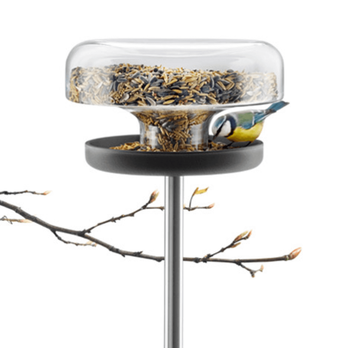 fém rúdon álló földbe szúrható üveg adagolóval ellátott madáretető asztal
